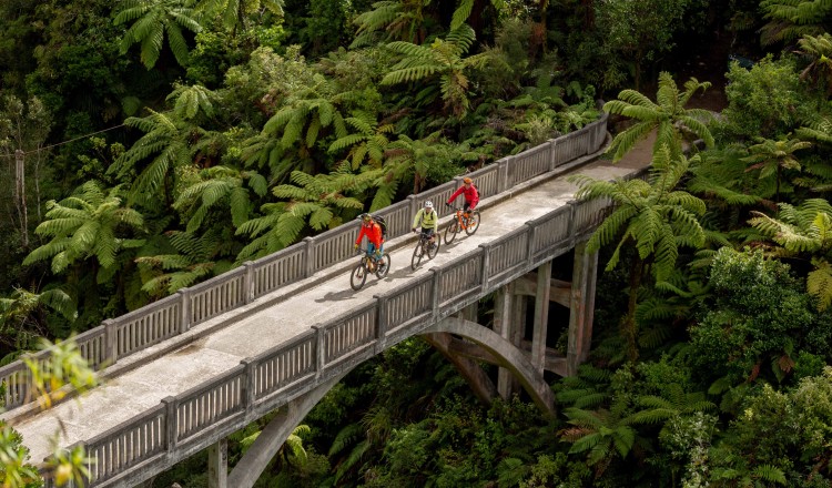 Mountains to Sea cyclists on Bridge to Nowhere Martyn Davies