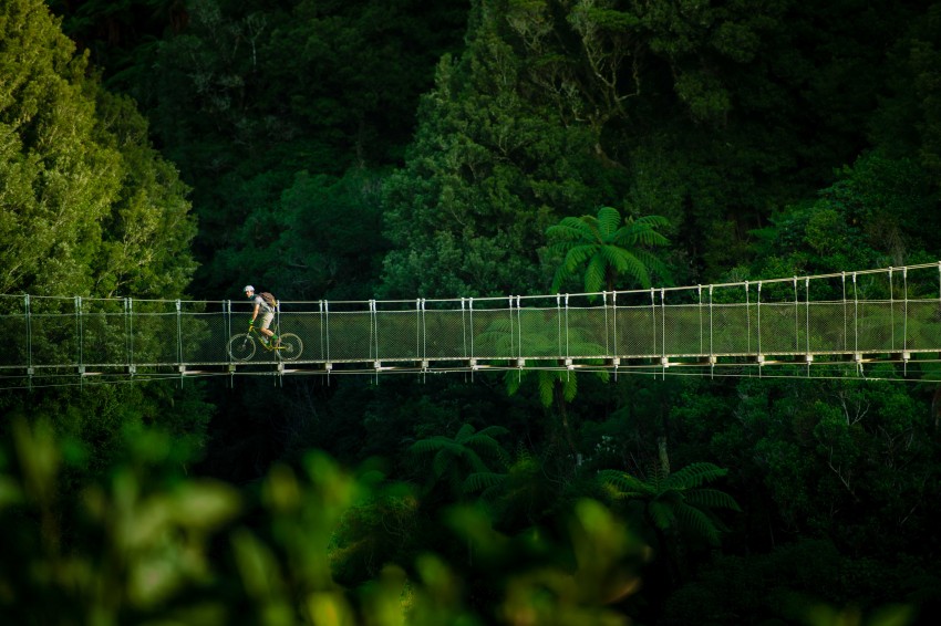 Timber Trail Mangatukutuku Bridge reduced credit StudioZag.com