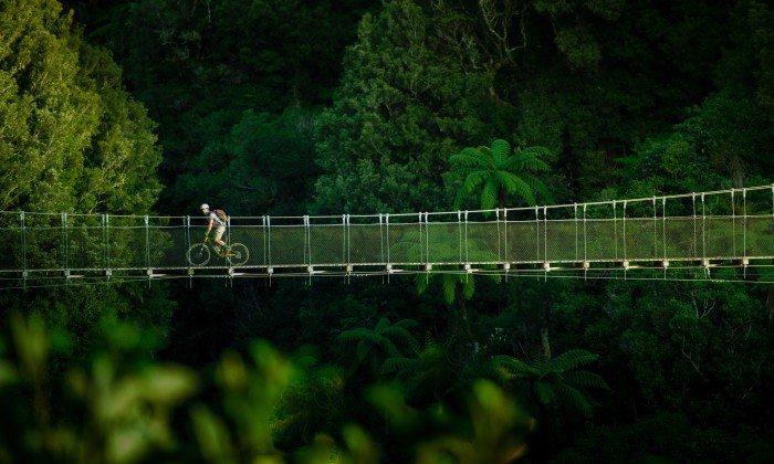 Timber Trail Mangatukutuku Bridge reduced credit StudioZag.com