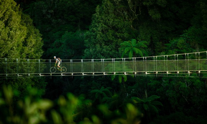 Timber Trail Mangatukutuku Bridge reduced credit StudioZag.com