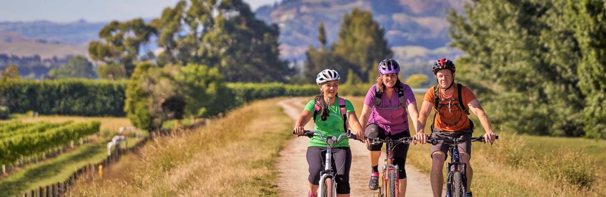 Hawkes Bay Trails Jan 2018 shoot cyclist and vines credit Hawkes Bay Trails cropped