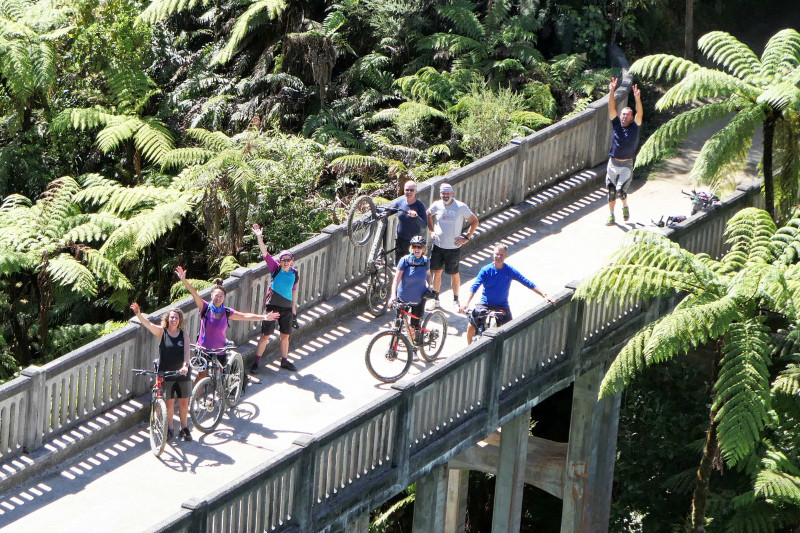 MTS Bridge to Nowhere bennettandslater.co.nz