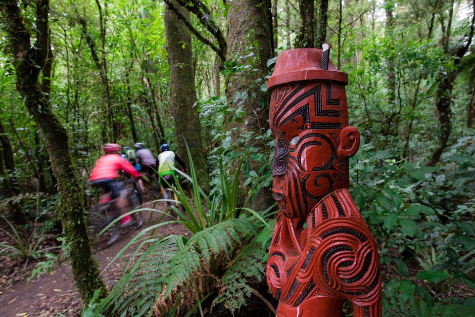 Timber Trail Pou at Pureora credit StudioZag.com