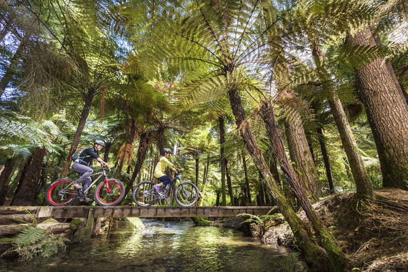 3225 Whakarewarewa Forest Rotorua Vaughan Brookfield