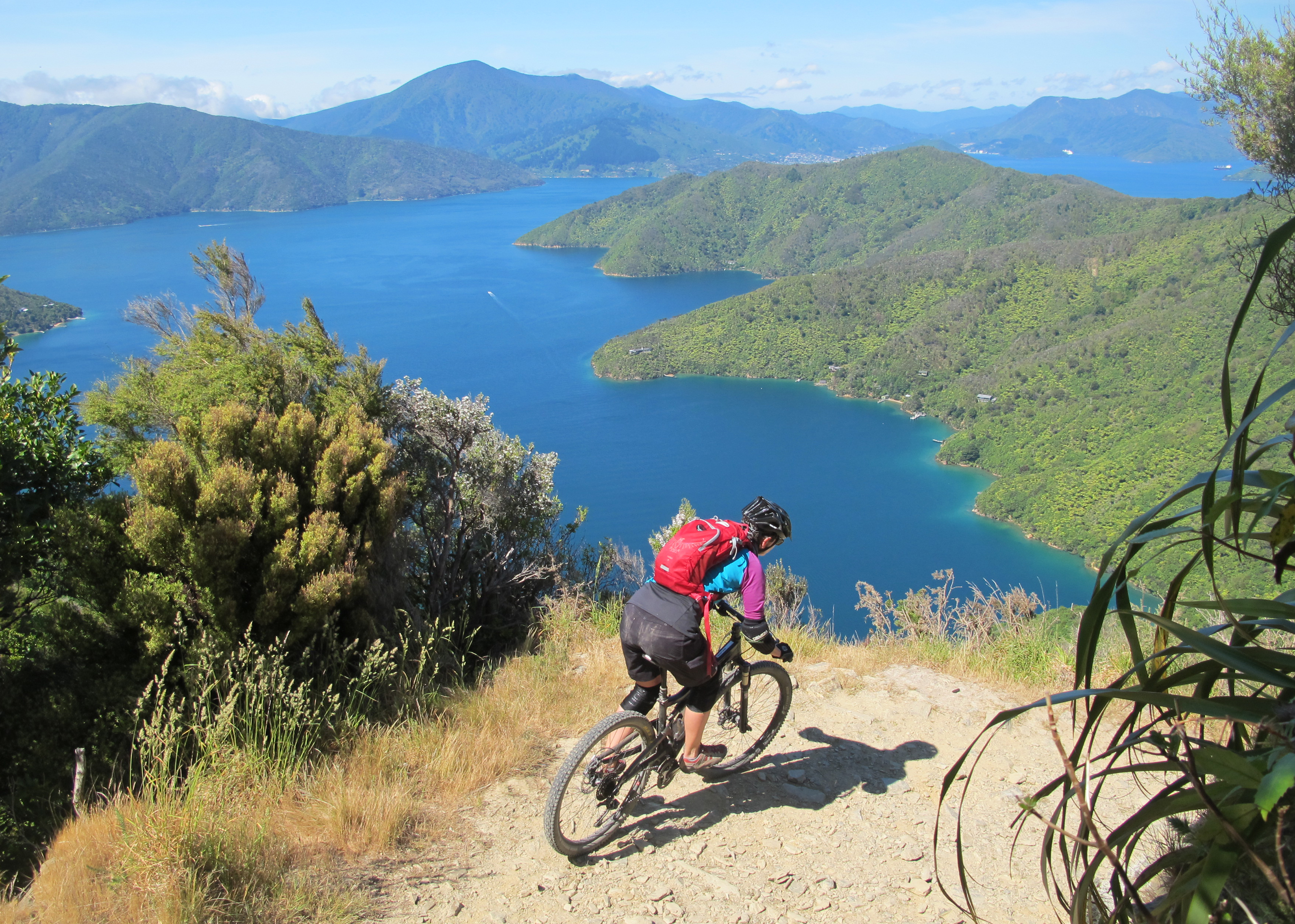How to ride the Queen Charlotte Track New Zealand Cycle Trail