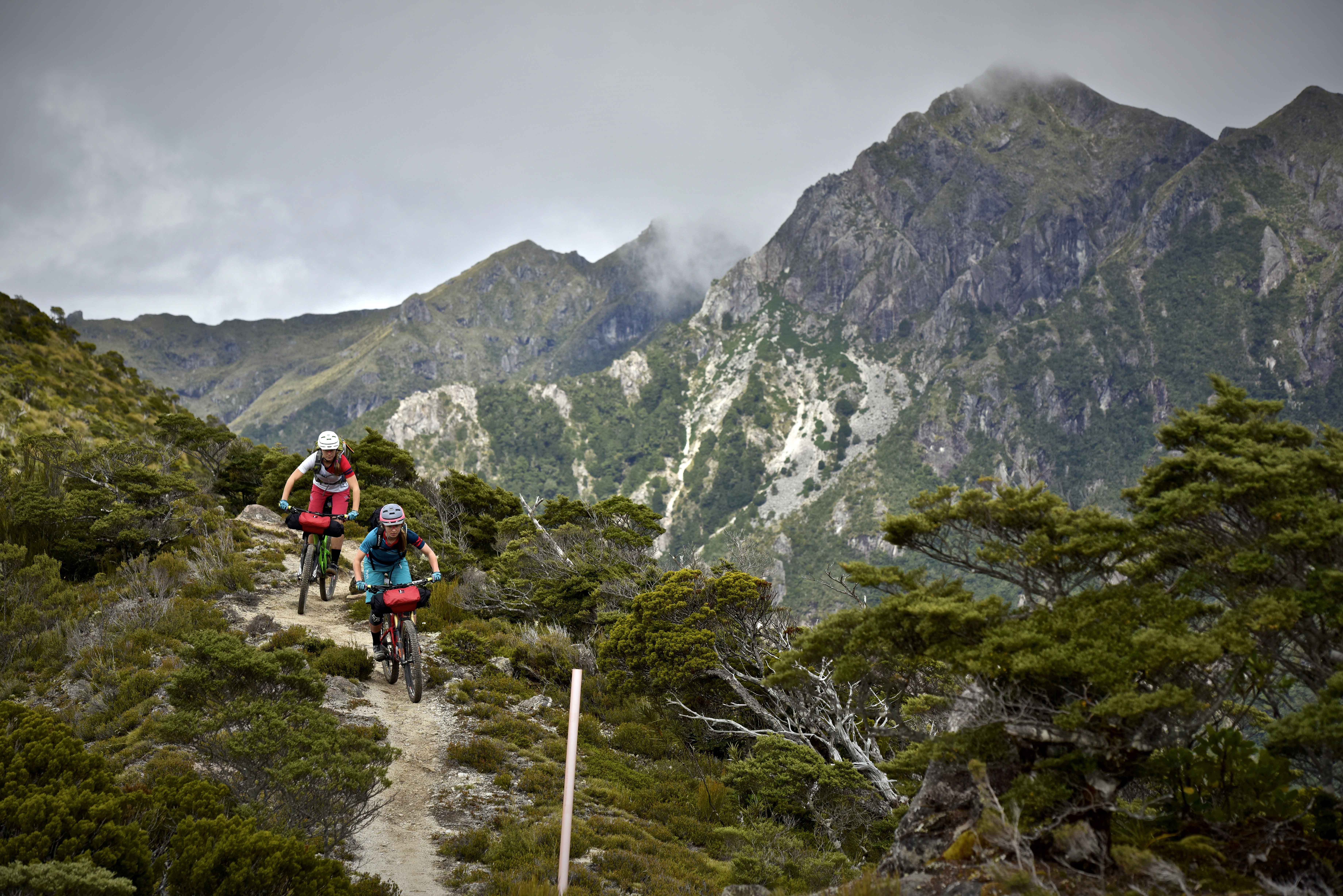 ghost new zealand tour