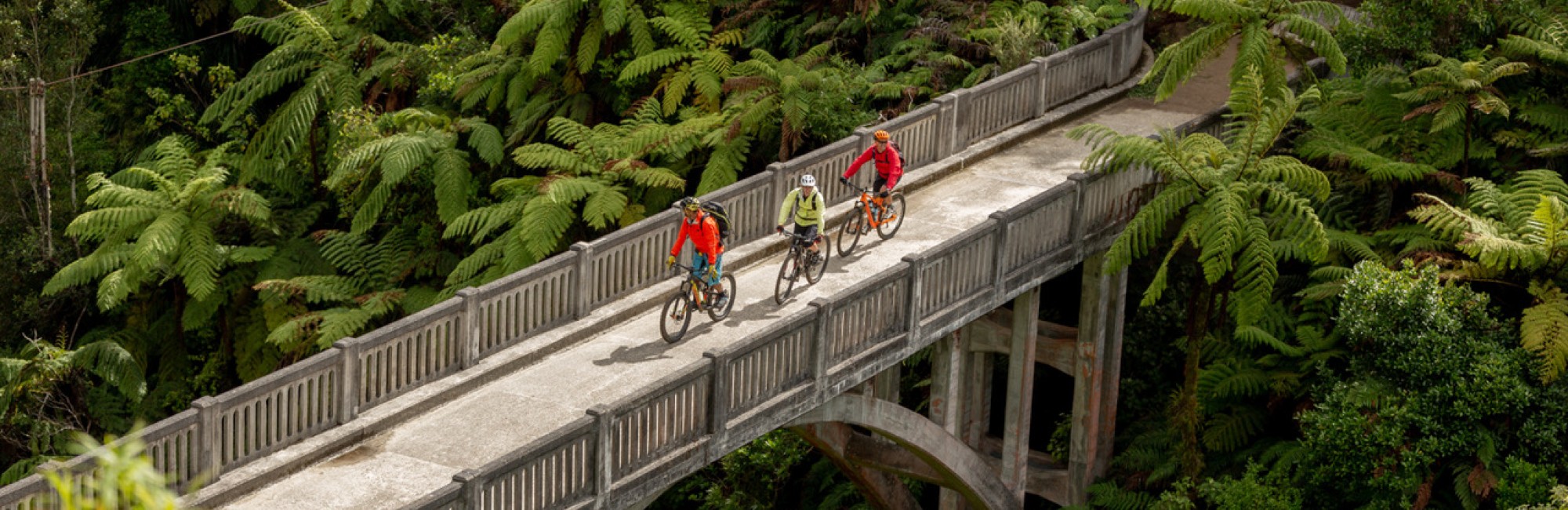 Mountains to Sea cyclists on Bridge to Nowhere Martyn Davies