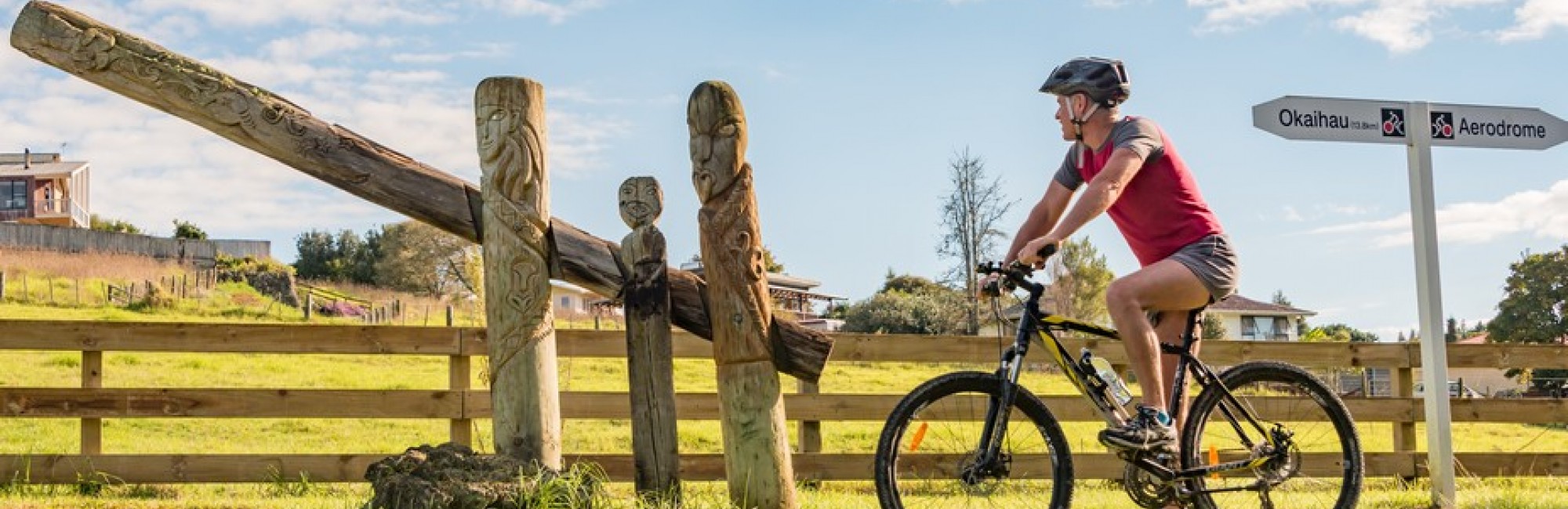 Twin Coast Cycle Trail Maori Pou credit Ruth Lawton Photography