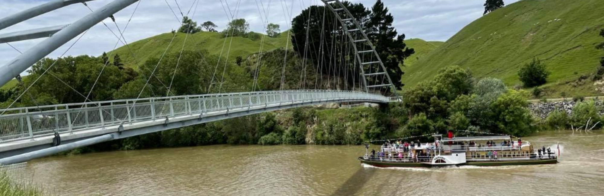 Upokongaro Bridge Lynley Twyman