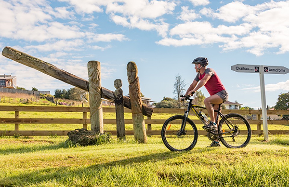 Twin Coast Cycle Trail Maori pou 14km from Okaihaihau credit Ruth Lawton Photography