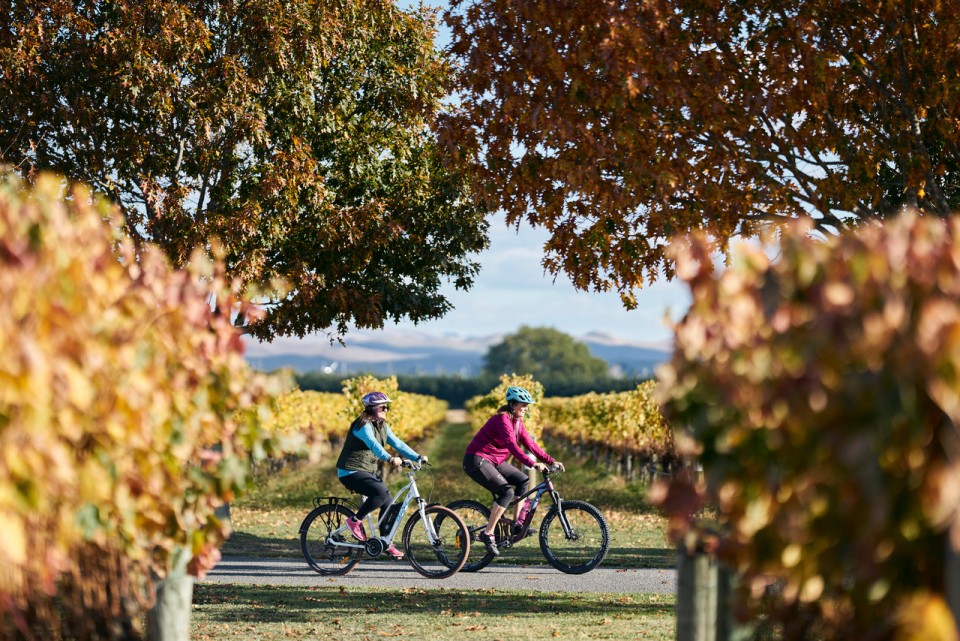 Hawkes Bay Trails Wineries Ride Villa Maria Gimblett Gravels 21 credit Hawkes Bay Trails