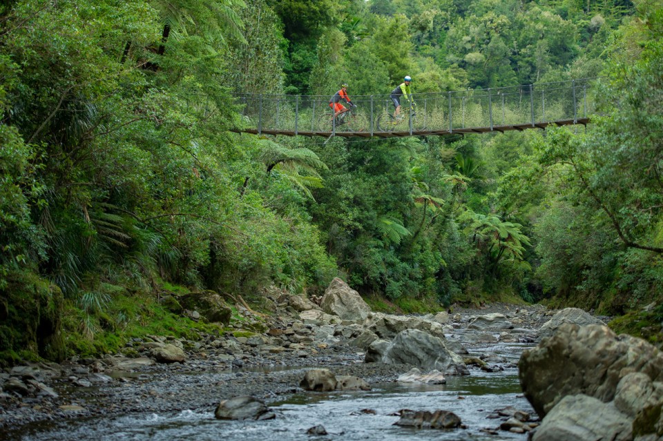 Motu Trails Pakihi Track bridge credit www.studiozag.com