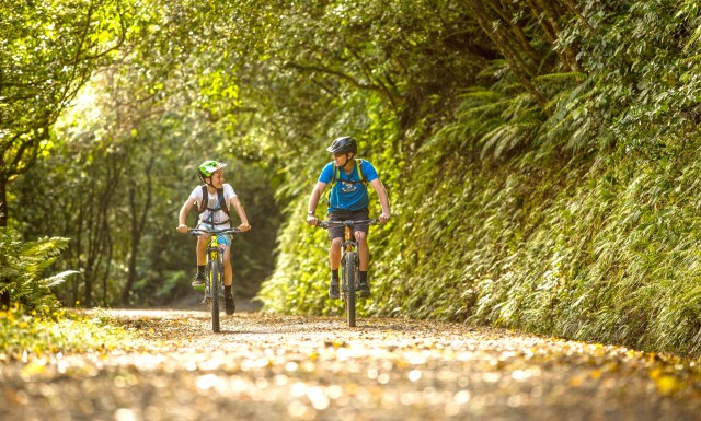 cycling Remutaka cycle trail Remutaka rail trail edited0
