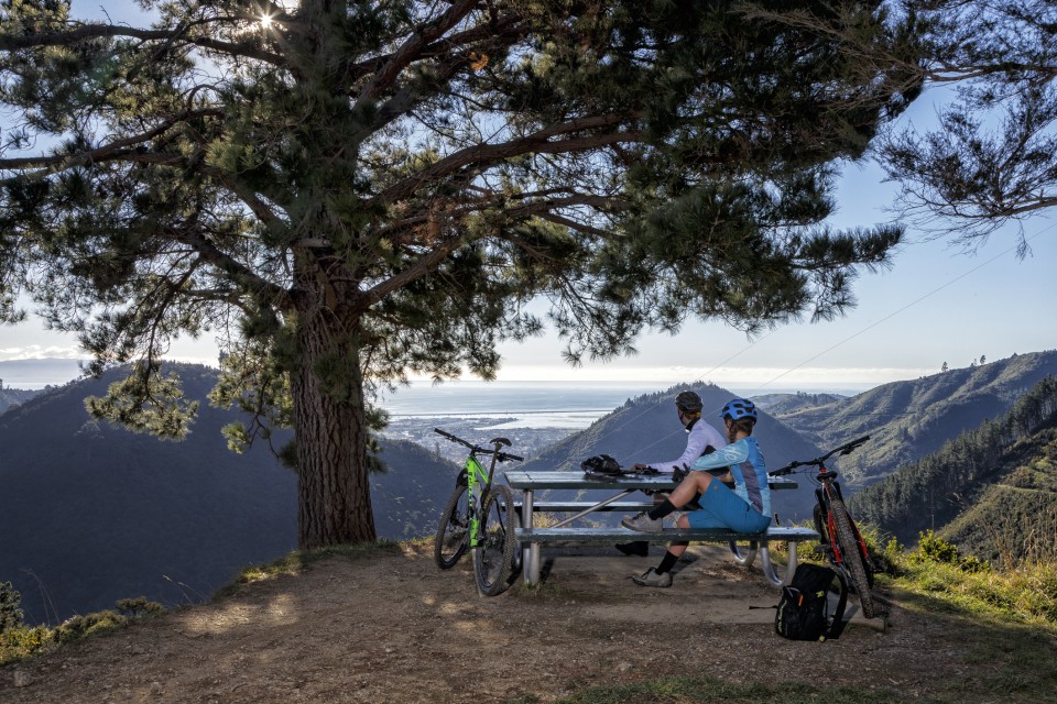 Coppermine Trail corner and bench credit Virginia Woolf Photography