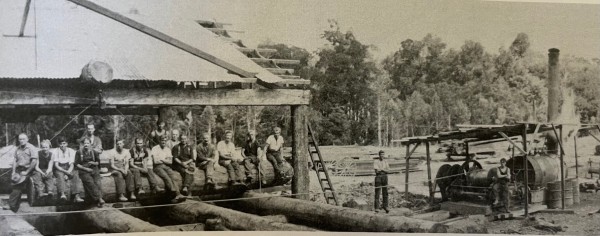 Mill No. 3 – known as the ‘top mill’ – at Piropiro circa 1936 (image courtesy www.rollbacktheyears.co.nz).