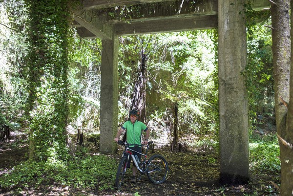 Waikato River Trails abandoned concrete plant