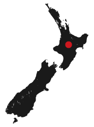 NZ map