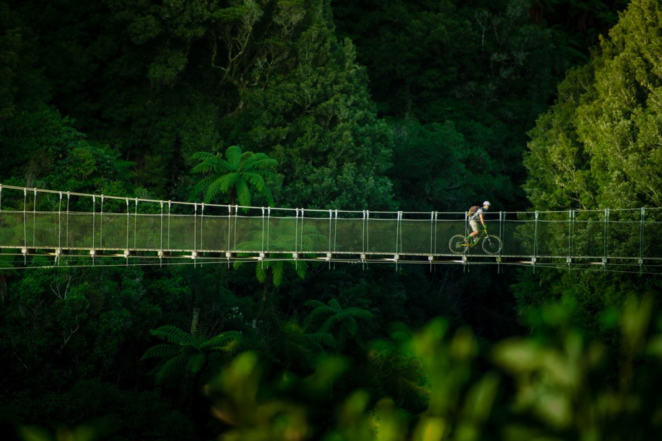 Timber Trail Mangatukutuku Bridge flipped credit StudioZag.com