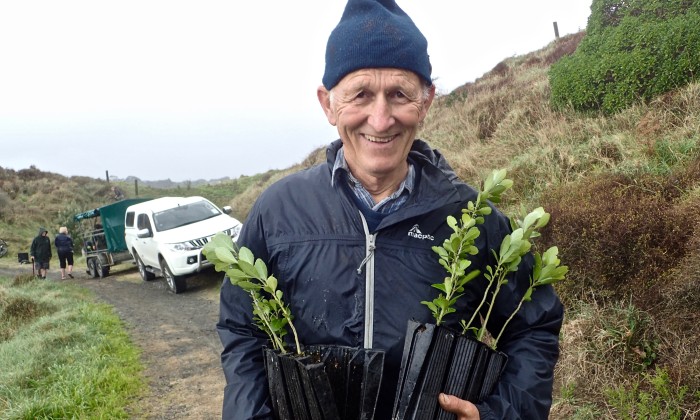 Kieran Hickey planting volunteer