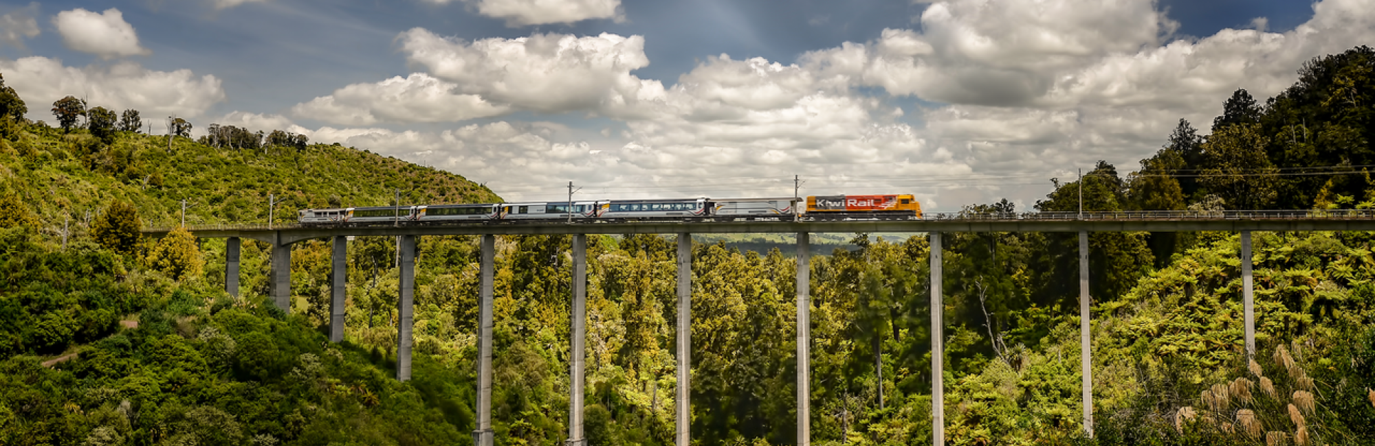 Northern Explorer Hapuawhenua Viaduct Linda Cutch Tall