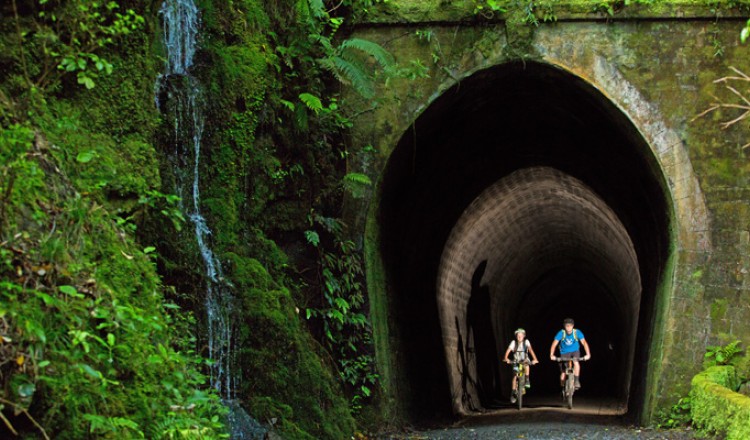 remutaka cycle