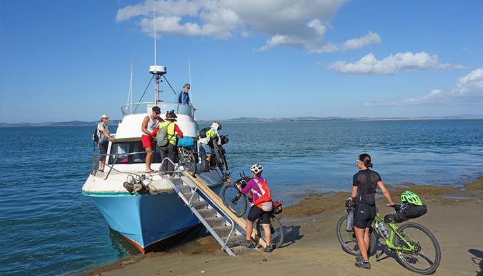 kaipara missing link