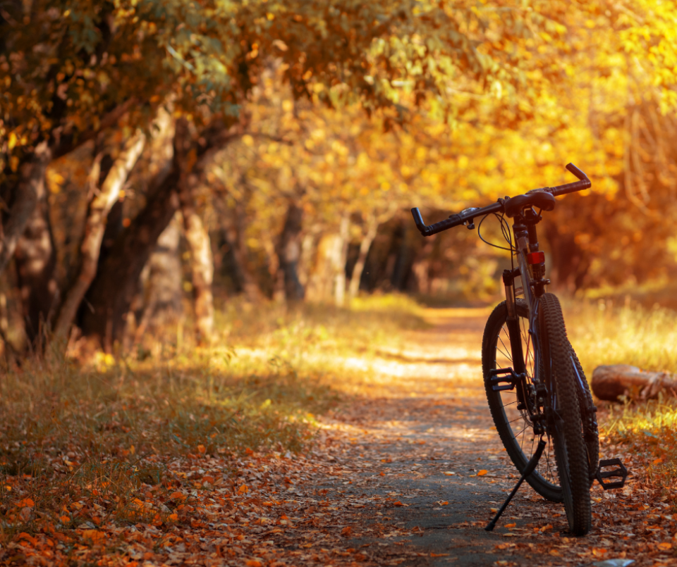 ASURE Cycle Image Clean