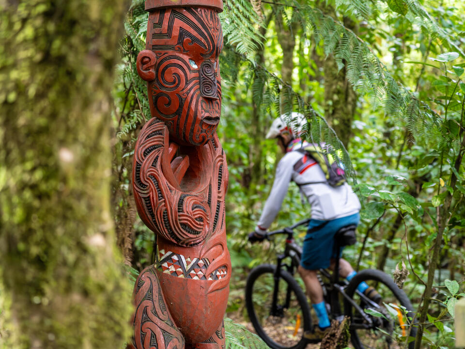 RYB00793 Enhanced NR