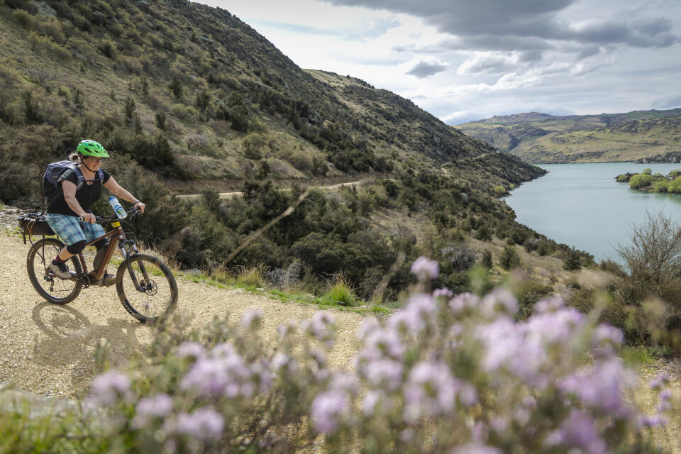 412791 spring views of the roxburgh gorge walking and cycling trail