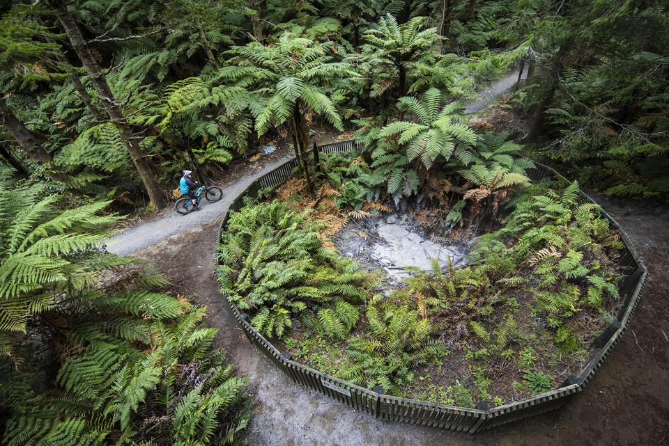 Whakarewarewa Forest Loop Gaz 201 credit Graeme Murray (1)