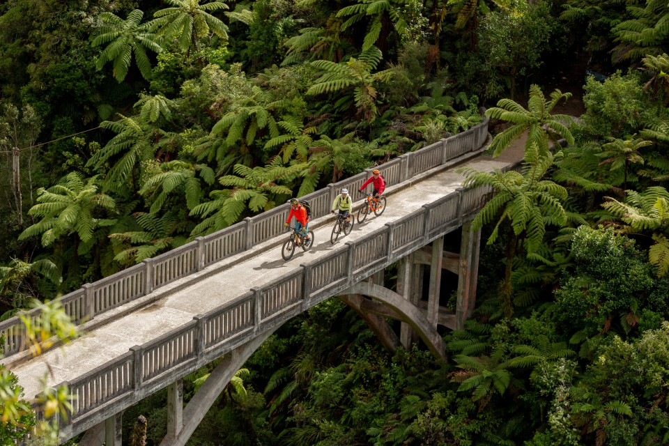 Mountains to Sea cyclists on Bridge to Nowhere Martyn Davies 1